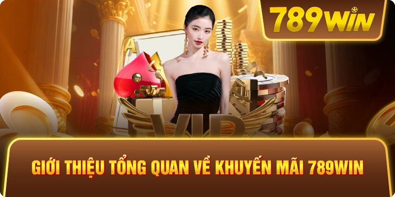 Giới thiệu tổng quan về khuyến mãi 789win 